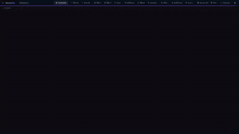 Typing and running commands in a persistent Meowtrix terminal